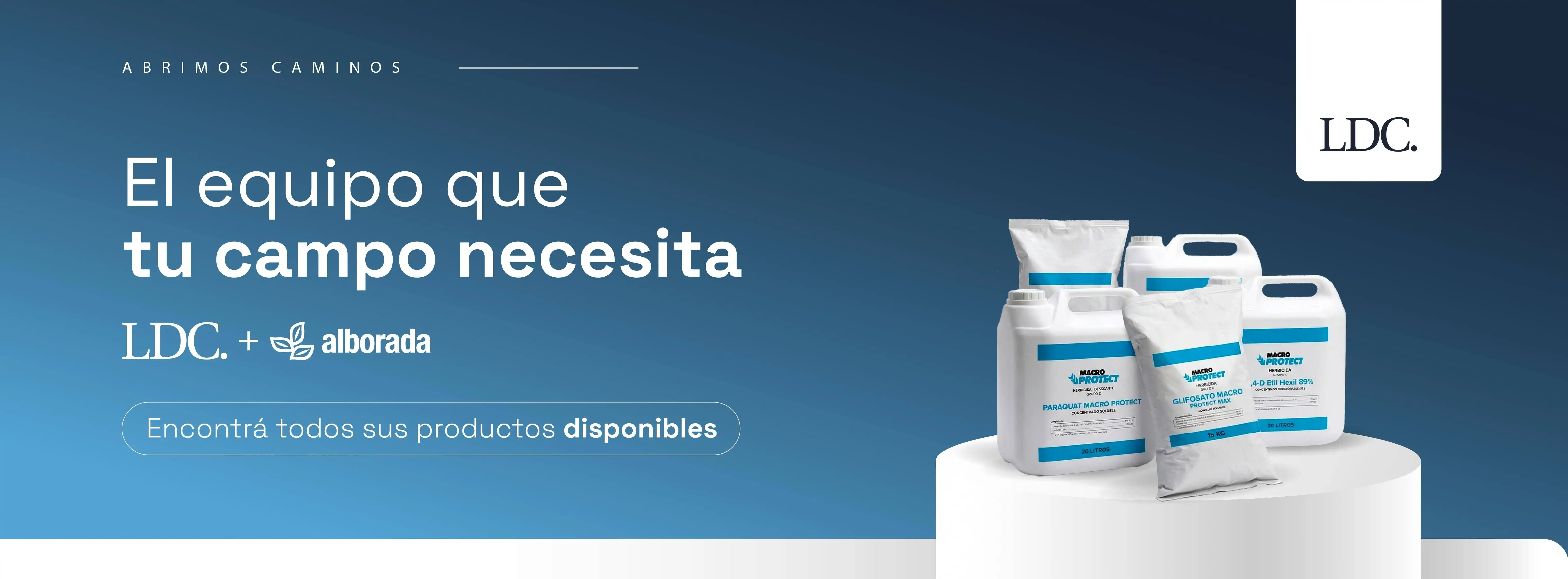 Banner principal 2