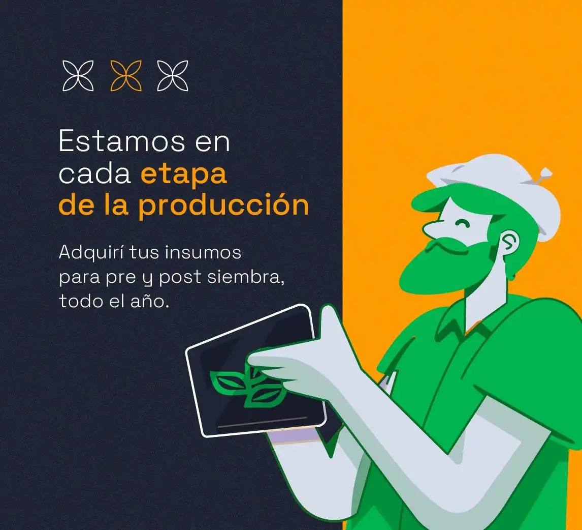WebExperto Test